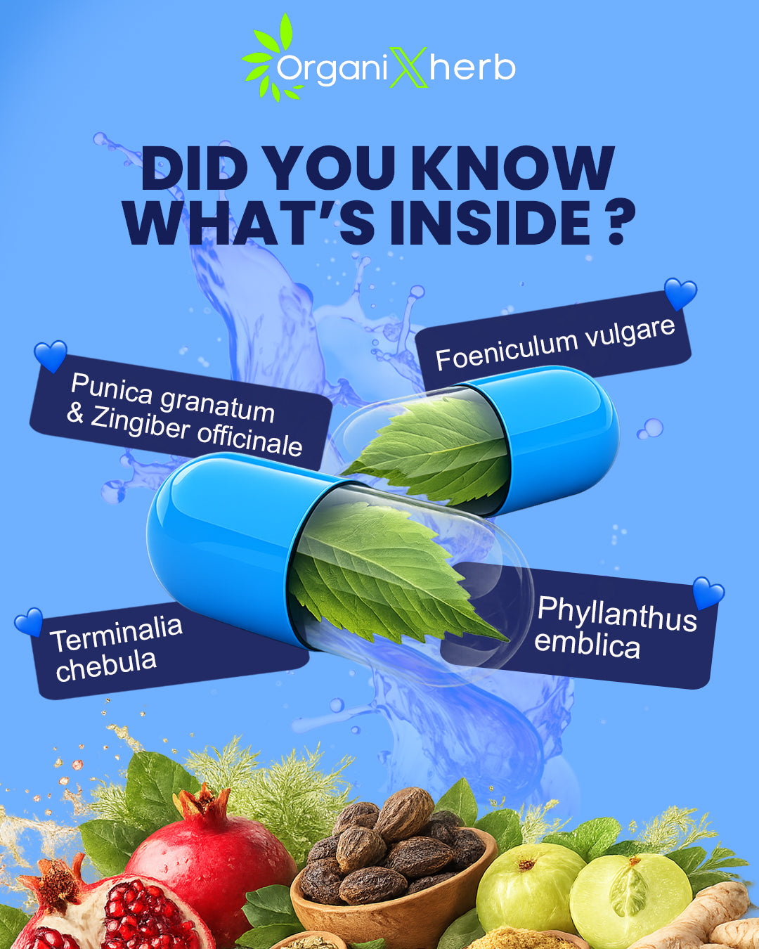 IBS-D Calm – (Digestive Comfort)